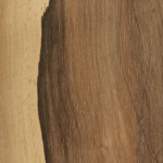 Geta_D_PAL362_intl_ipc1
