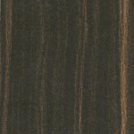 West_D_ZO_173_intl_ipic1